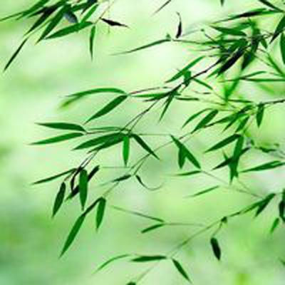 oppo烈火奇迹手游下载